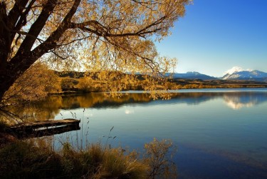 温州瑞安6私人放款|企业资金短拆|温州瑞安6开店生意贷