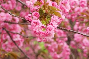 温州瑞安6线下个人借款平台一站式服务，轻松解决资金难题