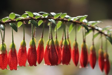 温州瑞安6零用贷短借：轻松解决临时资金需求