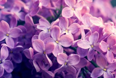 温州瑞安6企业急用钱贷款攻略：快速融资解燃眉之急